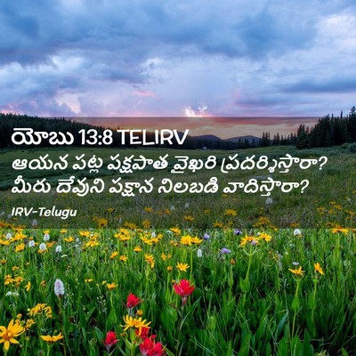 Picture 02 - యోబు 13:8 TELIRV - ఆయన పట్ల పక్షపాత - Bible Verse Picture