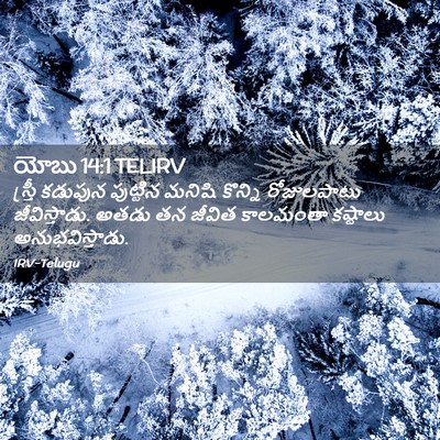 Picture 02 - యోబు 14:1 TELIRV - స్త్రీ కడుపున - Bible Verse Picture