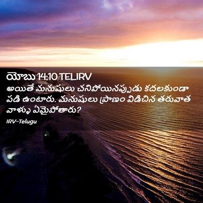 Picture 02 - యోబు 14:10 TELIRV - అయితే మనుషులు - Bible Verse Picture
