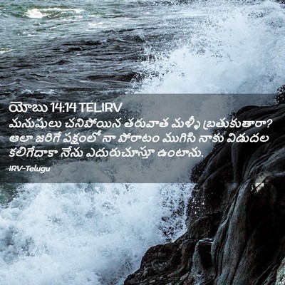Picture 02 - యోబు 14:14 TELIRV - మనుషులు చనిపోయిన - Bible Verse Picture