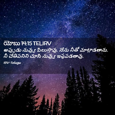 Picture 02 - యోబు 14:15 TELIRV - అప్పుడు నువ్వు - Bible Verse Picture