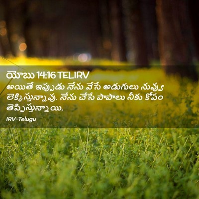 Picture 02 - యోబు 14:16 TELIRV - అయితే ఇప్పుడు - Bible Verse Picture