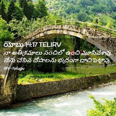 Picture 02 - యోబు 14:17 TELIRV - నా అతిక్రమాలు - Bible Verse Picture