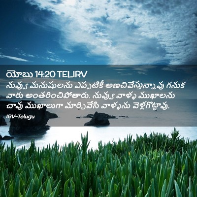 Picture 02 - యోబు 14:20 TELIRV - నువ్వు మనుషులను - Bible Verse Picture