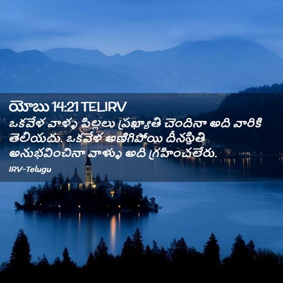 Picture 02 - యోబు 14:21 TELIRV - ఒకవేళ వాళ్ళ - Bible Verse Picture