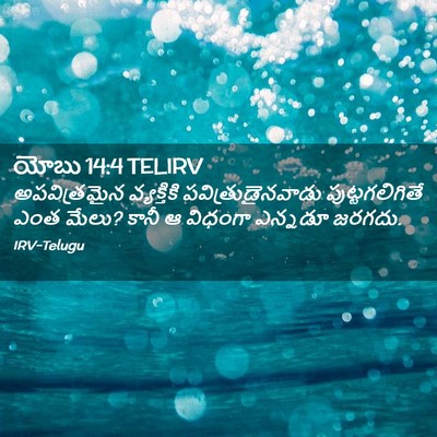 Picture 02 - యోబు 14:4 TELIRV - అపవిత్రమైన - Bible Verse Picture