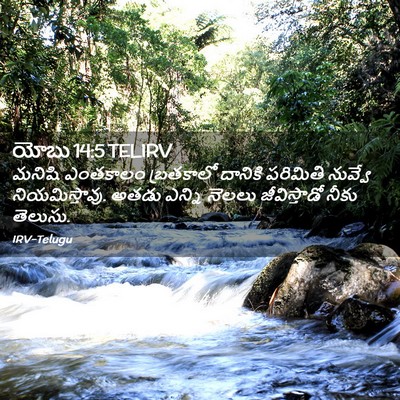 Picture 02 - యోబు 14:5 TELIRV - మనిషి ఎంతకాలం - Bible Verse Picture
