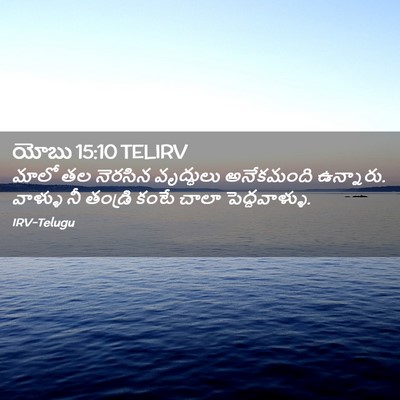 Picture 02 - యోబు 15:10 TELIRV - మాలో తల నెరసిన - Bible Verse Picture