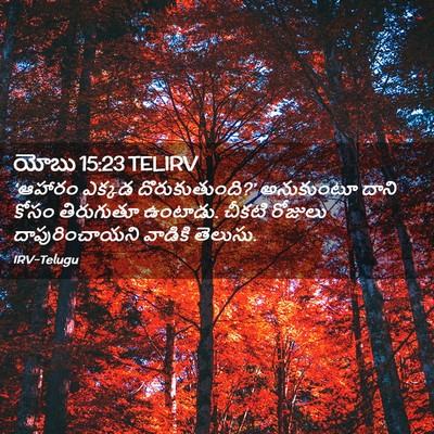 Picture 02 - యోబు 15:23 TELIRV - ‘ఆహారం ఎక్కడ - Bible Verse Picture