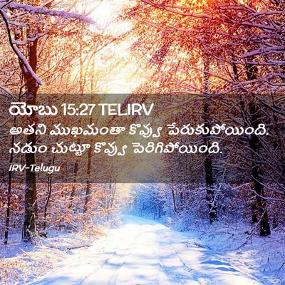 Picture 02 - యోబు 15:27 TELIRV - అతని ముఖమంతా - Bible Verse Picture
