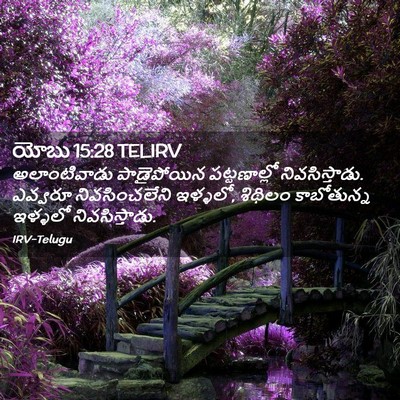 Picture 02 - యోబు 15:28 TELIRV - అలాంటివాడు - Bible Verse Picture