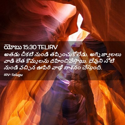 Picture 02 - యోబు 15:30 TELIRV - అతడు చీకటి నుండి - Bible Verse Picture