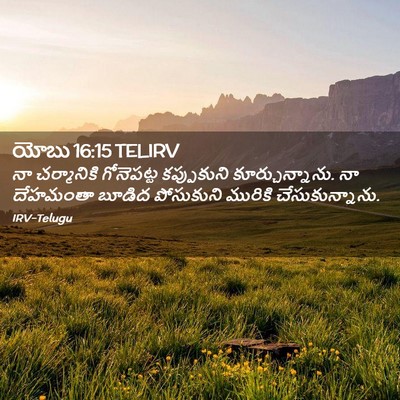 Picture 02 - యోబు 16:15 TELIRV - నా చర్మానికి - Bible Verse Picture