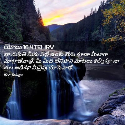 Picture 02 - యోబు 16:4 TELIRV - నా దుస్థితి మీకు - Bible Verse Picture