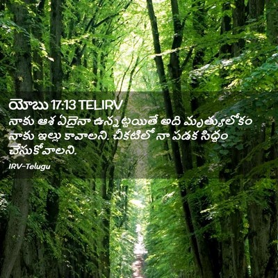 Picture 02 - యోబు 17:13 TELIRV - నాకు ఆశ ఏదైనా - Bible Verse Picture