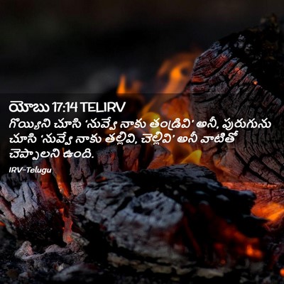 Picture 02 - యోబు 17:14 TELIRV - గొయ్యిని చూసి - Bible Verse Picture