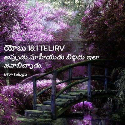 Picture 02 - యోబు 18:1 TELIRV - అప్పుడు షూహీయుడు - Bible Verse Picture