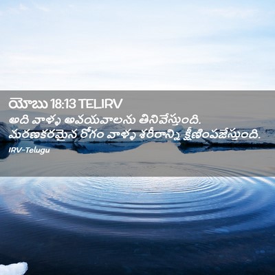 Picture 02 - యోబు 18:13 TELIRV - అది వాళ్ళ - Bible Verse Picture