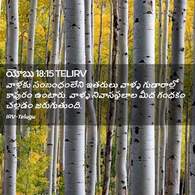 Picture 02 - యోబు 18:15 TELIRV - వాళ్లకు - Bible Verse Picture