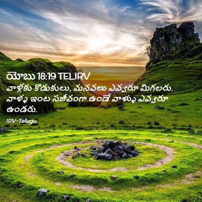 Picture 02 - యోబు 18:19 TELIRV - వాళ్లకు కొడుకులు, - Bible Verse Picture