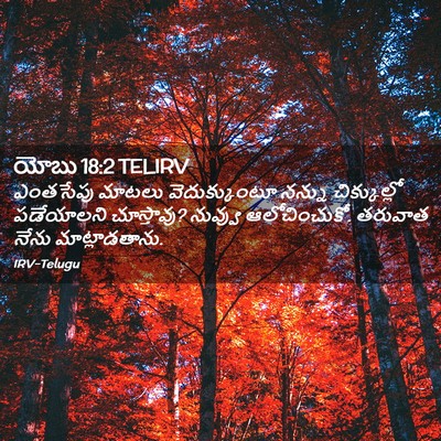 Picture 02 - యోబు 18:2 TELIRV - ఎంతసేపు మాటలు - Bible Verse Picture