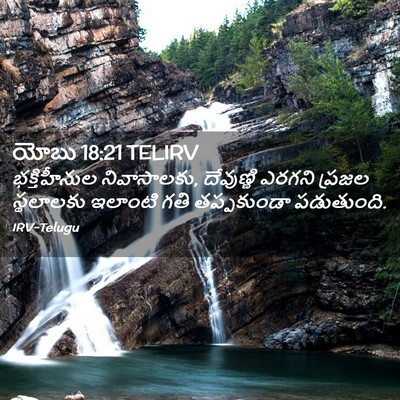 Picture 02 - యోబు 18:21 TELIRV - భక్తిహీనుల - Bible Verse Picture