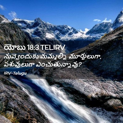 Picture 02 - యోబు 18:3 TELIRV - నువ్వెందుకు - Bible Verse Picture