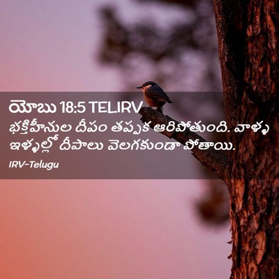 Picture 02 - యోబు 18:5 TELIRV - భక్తిహీనుల దీపం - Bible Verse Picture
