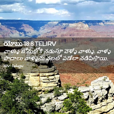 Picture 02 - యోబు 18:8 TELIRV - వాళ్ళు బోనుల్లోకి - Bible Verse Picture
