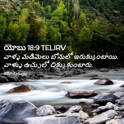 Picture 02 - యోబు 18:9 TELIRV - వాళ్ళ మడిమెలు - Bible Verse Picture
