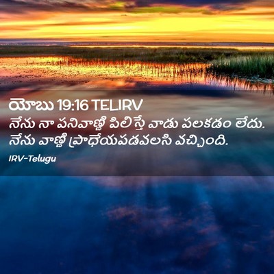 Picture 02 - యోబు 19:16 TELIRV - నేను నా పనివాణ్ణి - Bible Verse Picture
