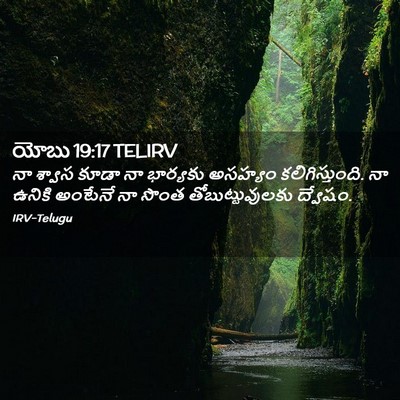 Picture 02 - యోబు 19:17 TELIRV - నా శ్వాస కూడా నా - Bible Verse Picture