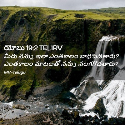 Picture 02 - యోబు 19:2 TELIRV - మీరు నన్ను ఇలా - Bible Verse Picture