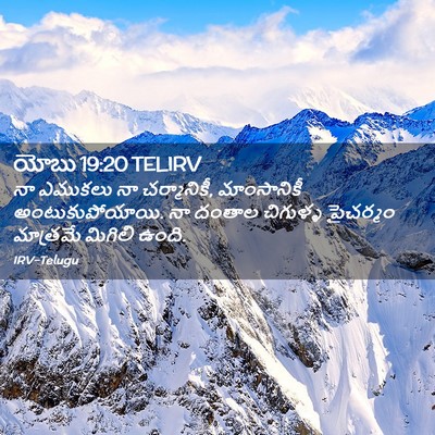 Picture 02 - యోబు 19:20 TELIRV - నా ఎముకలు నా - Bible Verse Picture