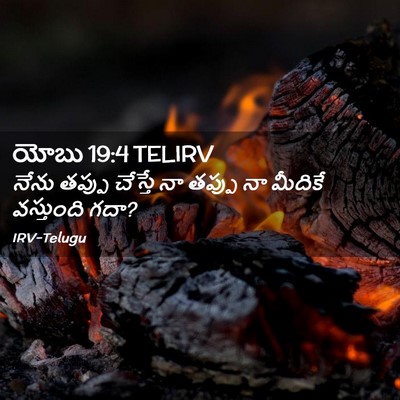 Picture 02 - యోబు 19:4 TELIRV - నేను తప్పు చేస్తే - Bible Verse Picture
