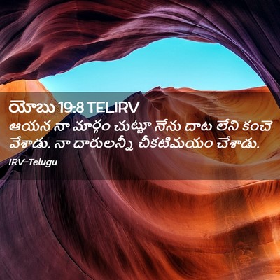 Picture 02 - యోబు 19:8 TELIRV - ఆయన నా మార్గం - Bible Verse Picture