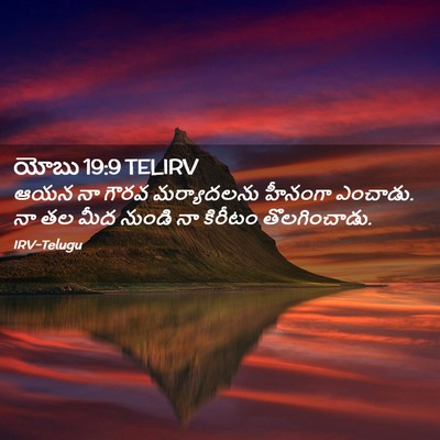 Picture 02 - యోబు 19:9 TELIRV - ఆయన నా గౌరవ - Bible Verse Picture