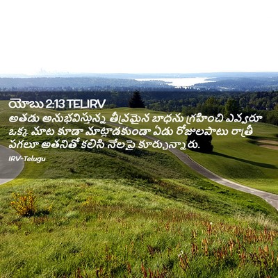 Picture 02 - యోబు 2:13 TELIRV - అతడు - Bible Verse Picture