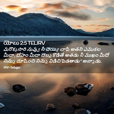 Picture 02 - యోబు 2:5 TELIRV - మరొక్కసారి నువ్వు - Bible Verse Picture