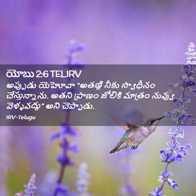 Picture 02 - యోబు 2:6 TELIRV - అప్పుడు యెహోవా - Bible Verse Picture