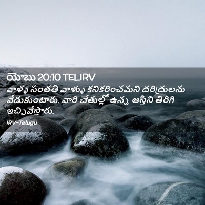 Picture 02 - యోబు 20:10 TELIRV - వాళ్ళ సంతతి - Bible Verse Picture