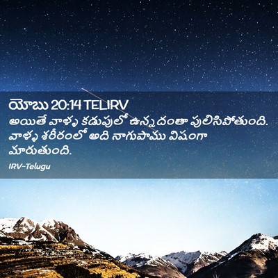 Picture 02 - యోబు 20:14 TELIRV - అయితే వాళ్ళ - Bible Verse Picture