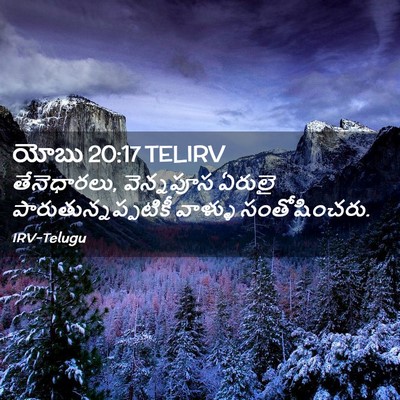 Picture 02 - యోబు 20:17 TELIRV - తేనెధారలు, - Bible Verse Picture