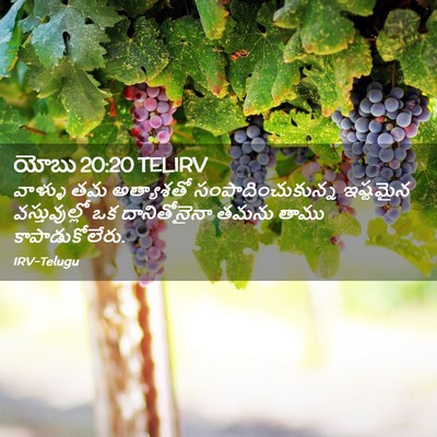 Picture 02 - యోబు 20:20 TELIRV - వాళ్ళు తమ - Bible Verse Picture