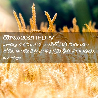 Picture 02 - యోబు 20:21 TELIRV - వాళ్ళు దిగమింగిన - Bible Verse Picture