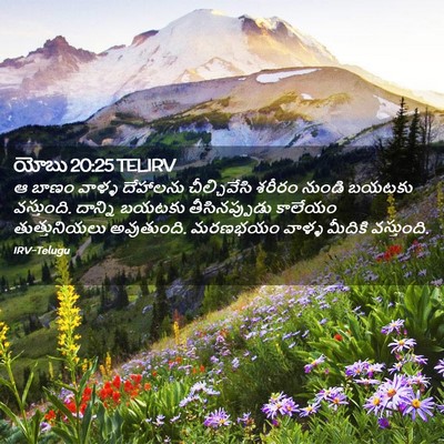 Picture 02 - యోబు 20:25 TELIRV - ఆ బాణం వాళ్ళ - Bible Verse Picture