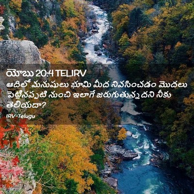 Picture 02 - యోబు 20:4 TELIRV - ఆదిలో మనుషులు - Bible Verse Picture