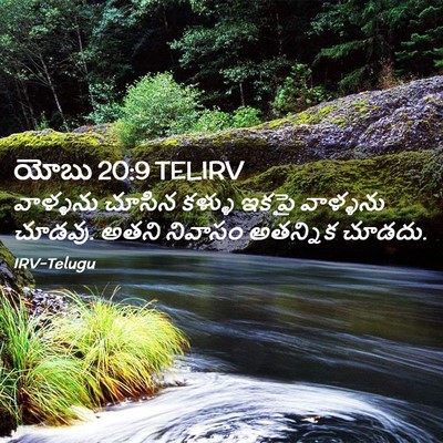 Picture 02 - యోబు 20:9 TELIRV - వాళ్ళను చూసిన - Bible Verse Picture