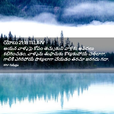 Picture 02 - యోబు 21:18 TELIRV - ఆయన వాళ్ళపై కోపం - Bible Verse Picture