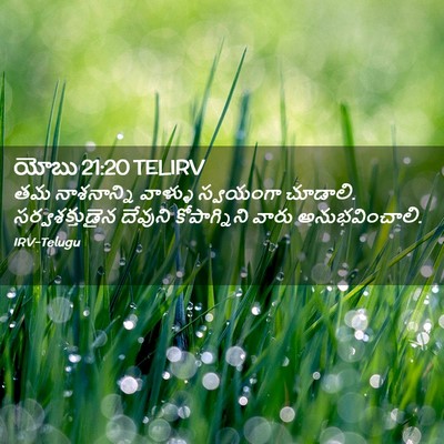 Picture 02 - యోబు 21:20 TELIRV - తమ నాశనాన్ని - Bible Verse Picture